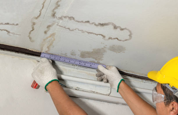 Reliable Water Damage contractor in Sinai, SD by Water Damage Irwin